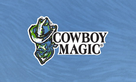 How to Blanket Your Horse