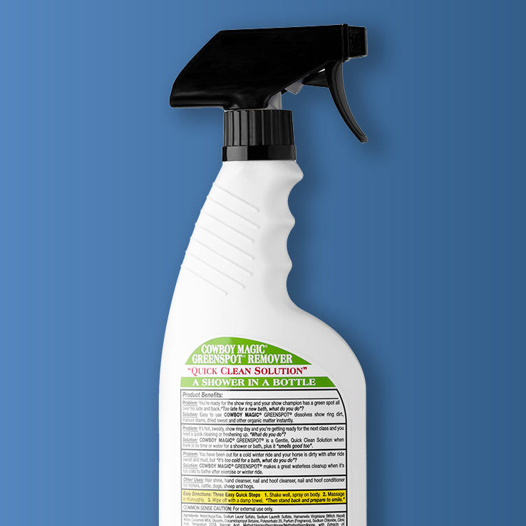 Greenspot Remover - Waterless Shampoo for Spot Cleaning