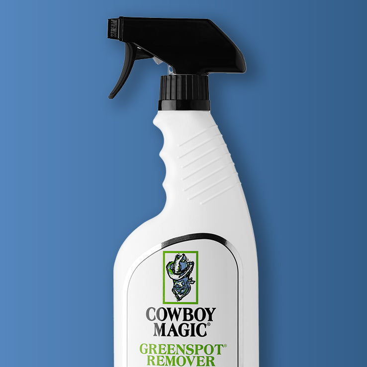 Greenspot Remover - Waterless Shampoo for Spot Cleaning