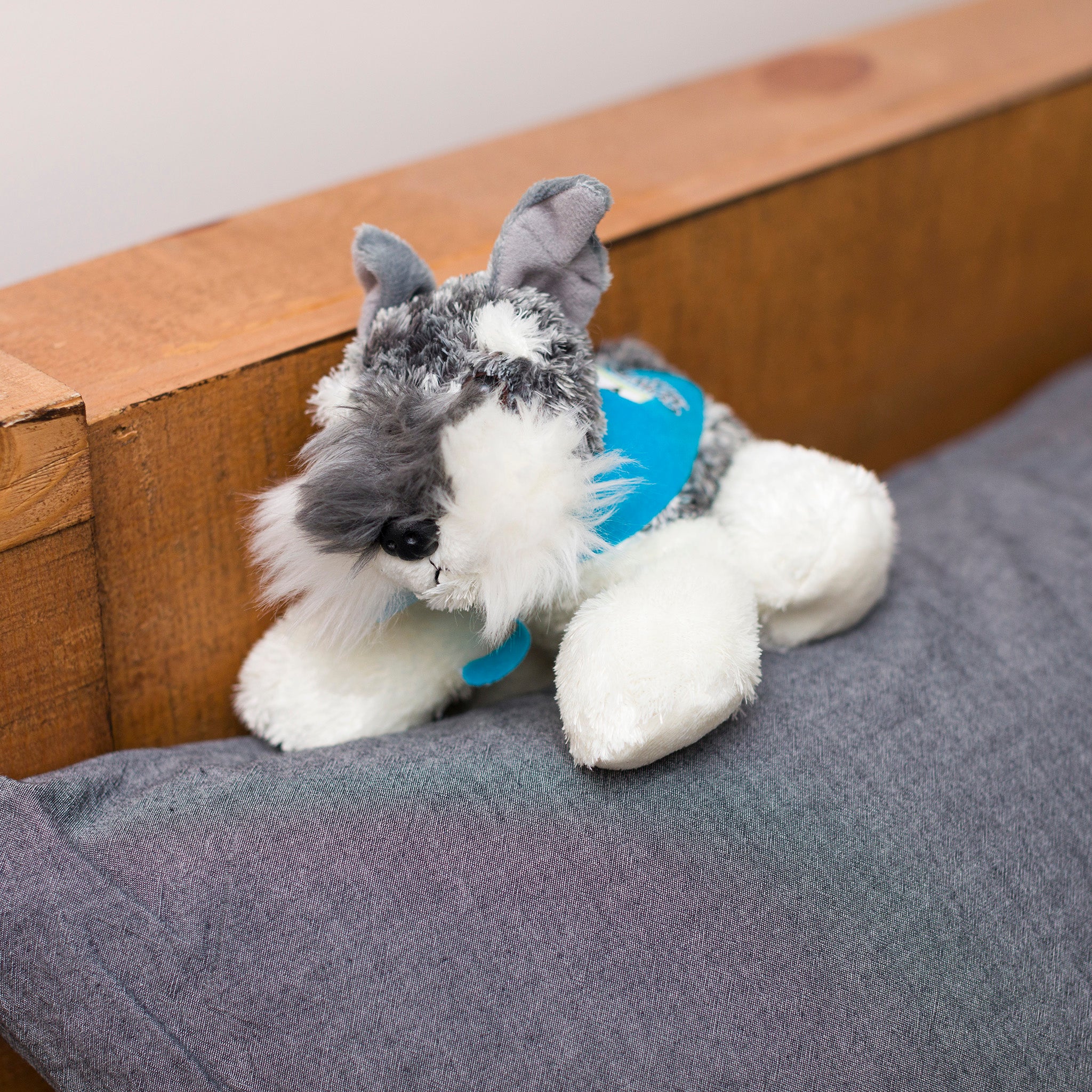 Schnauzer – Cowboy Magic - Main Image