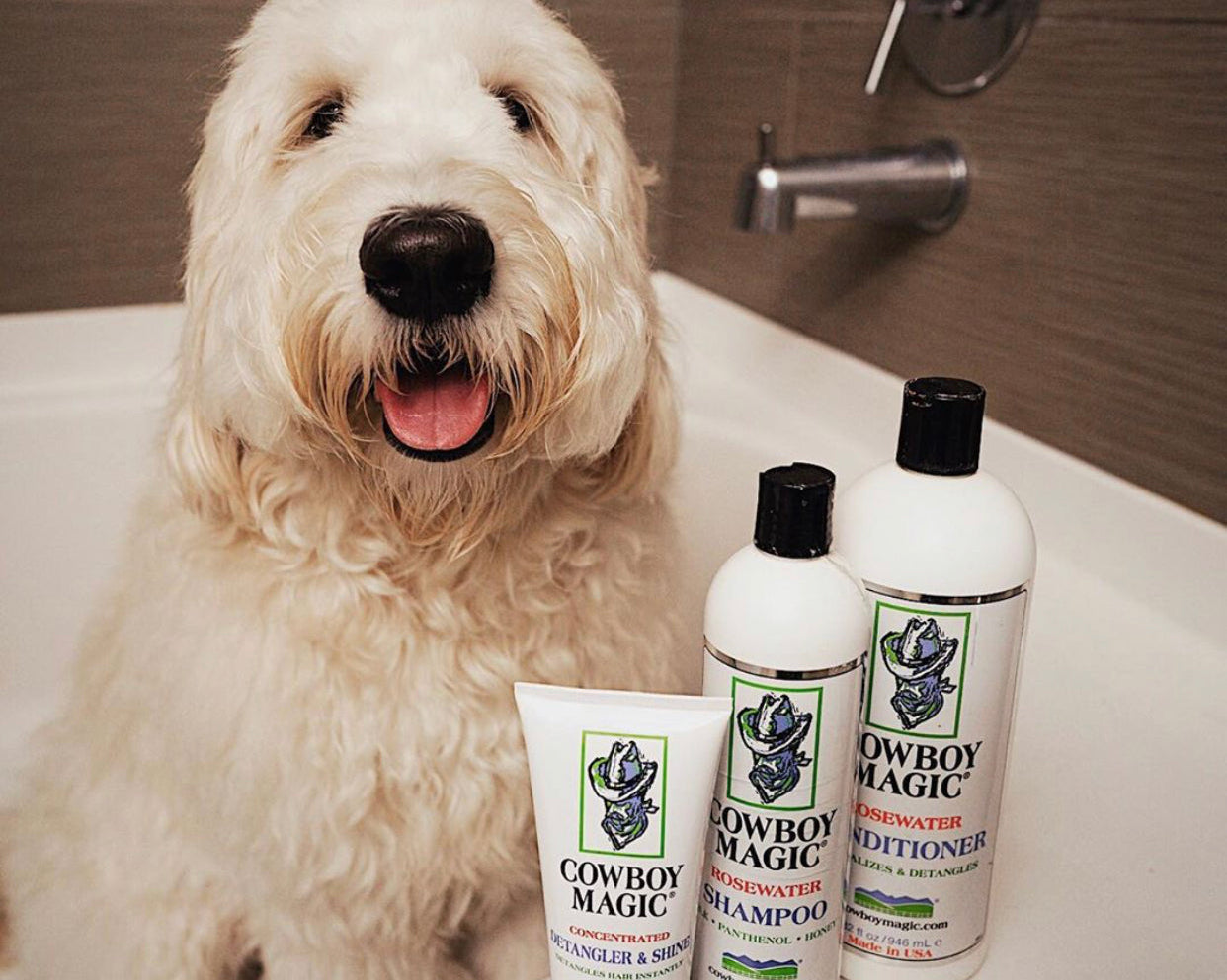 8 Steps to Untangle Matted Dog Hair