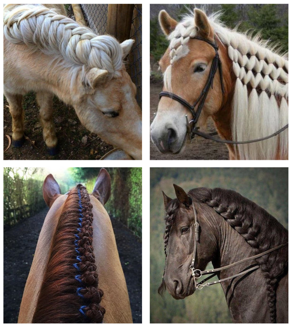 5 Beautiful Horse Braids to Try Cowboy Magic