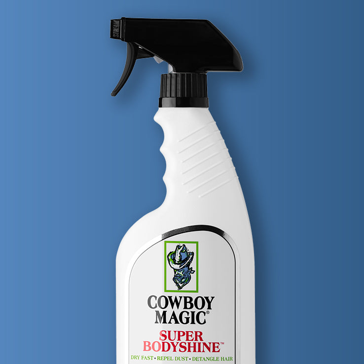 Super Bodyshine - Instant Shine Spray