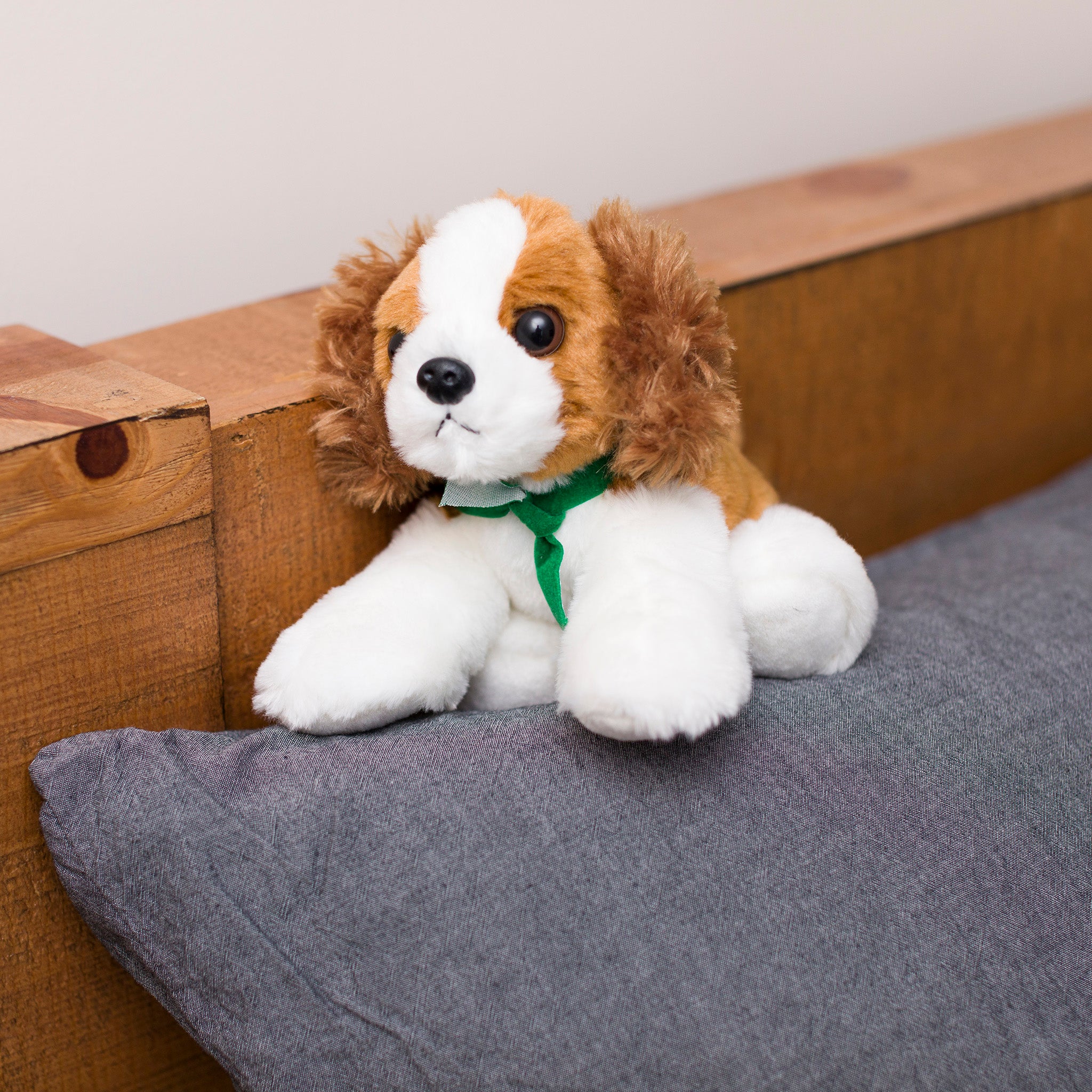 Cavalier King Charles