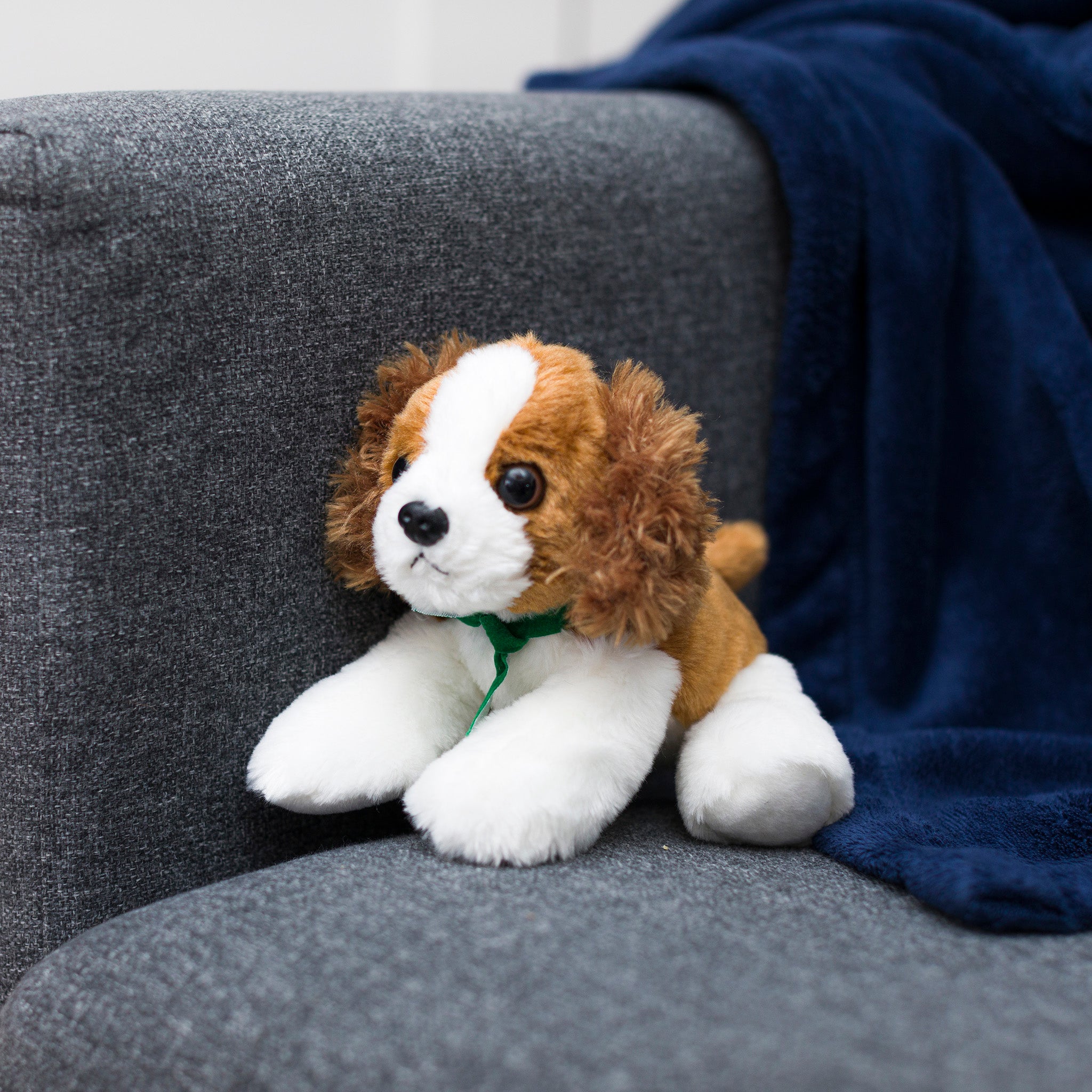 Cavalier-King-Charles-kelly-green-chairwebsize.jpg