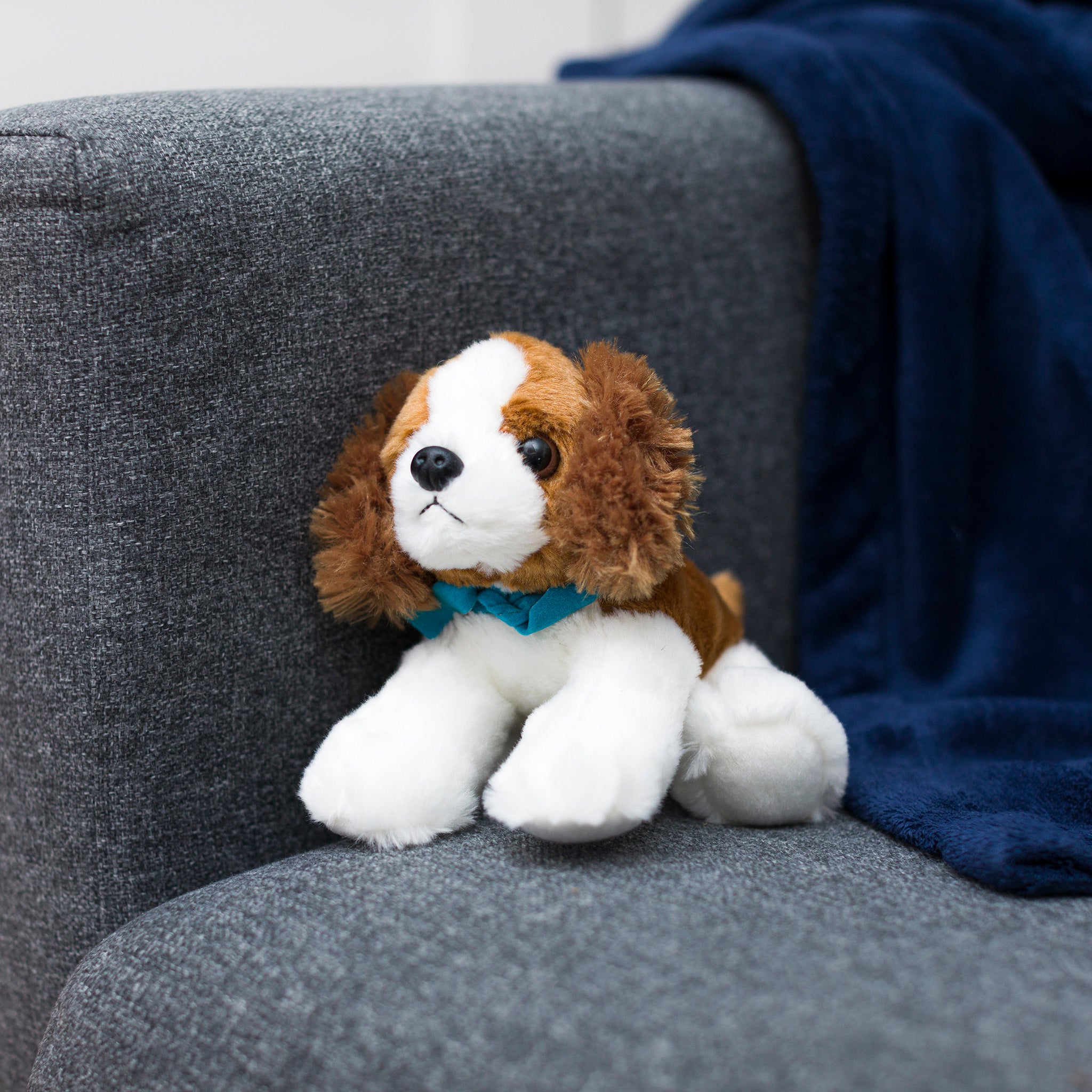Cavalier King Charles
