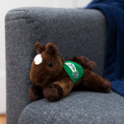 Chestnut Horse