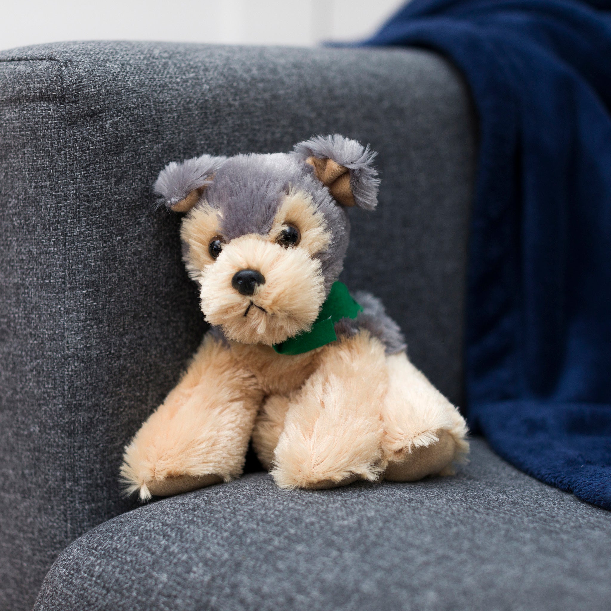 Cutie-Yorkshire-Terrier-kelly-green-chairwebsize.jpg
