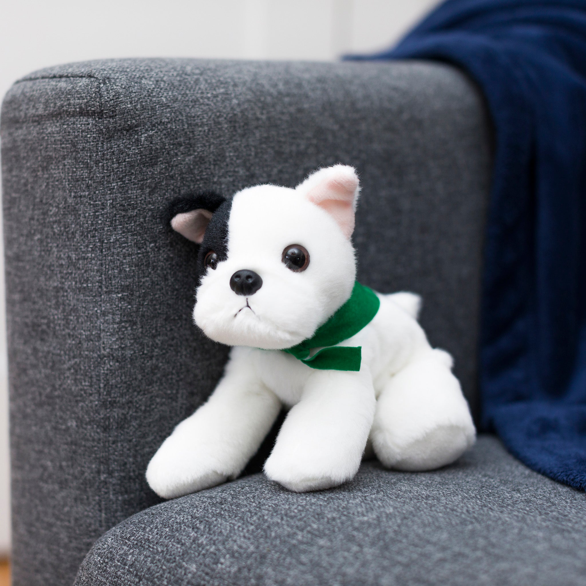 French-Bulldog-kelly-green-chairwebsize.jpg