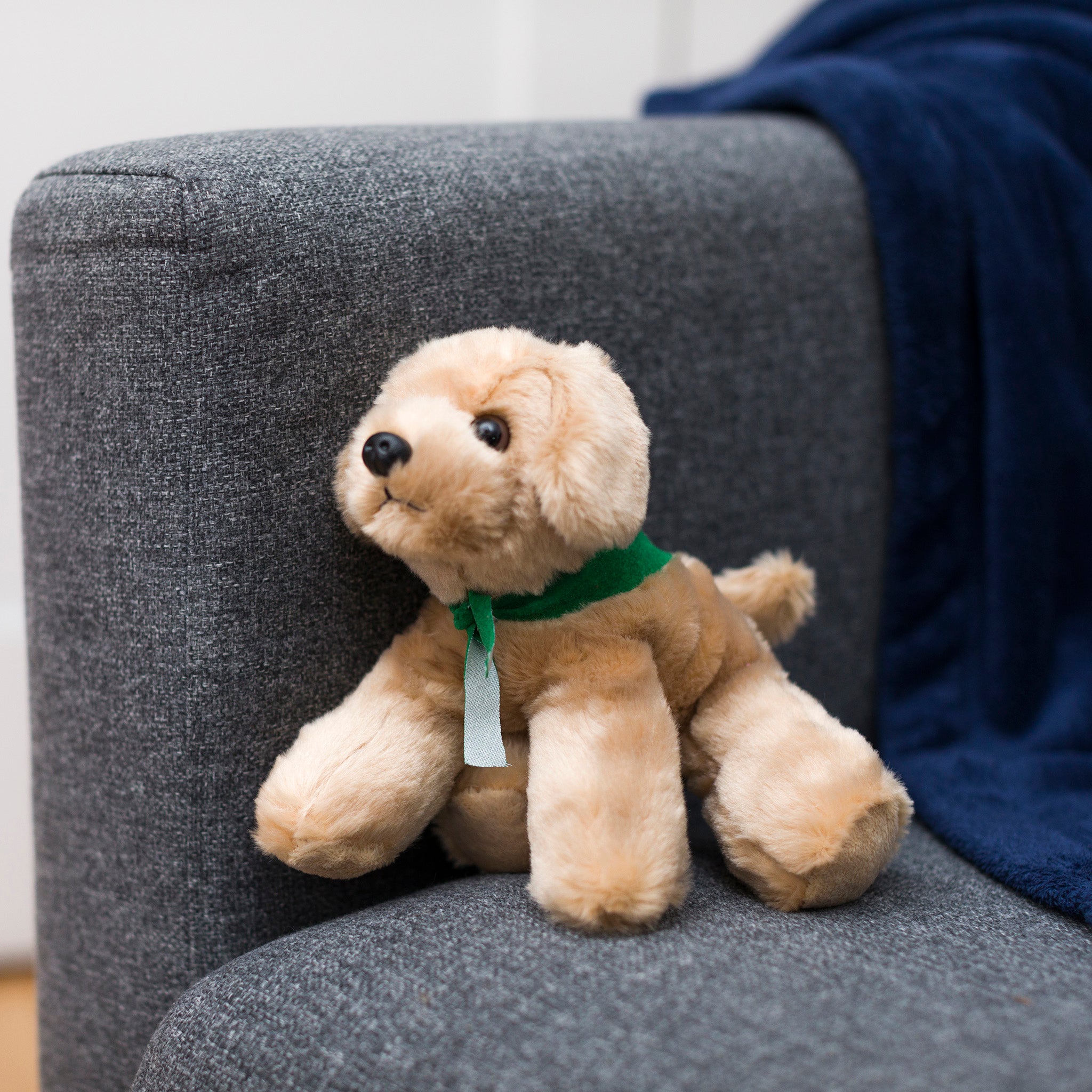 Golden-Labrador-kelly-green-chairwebsize.jpg