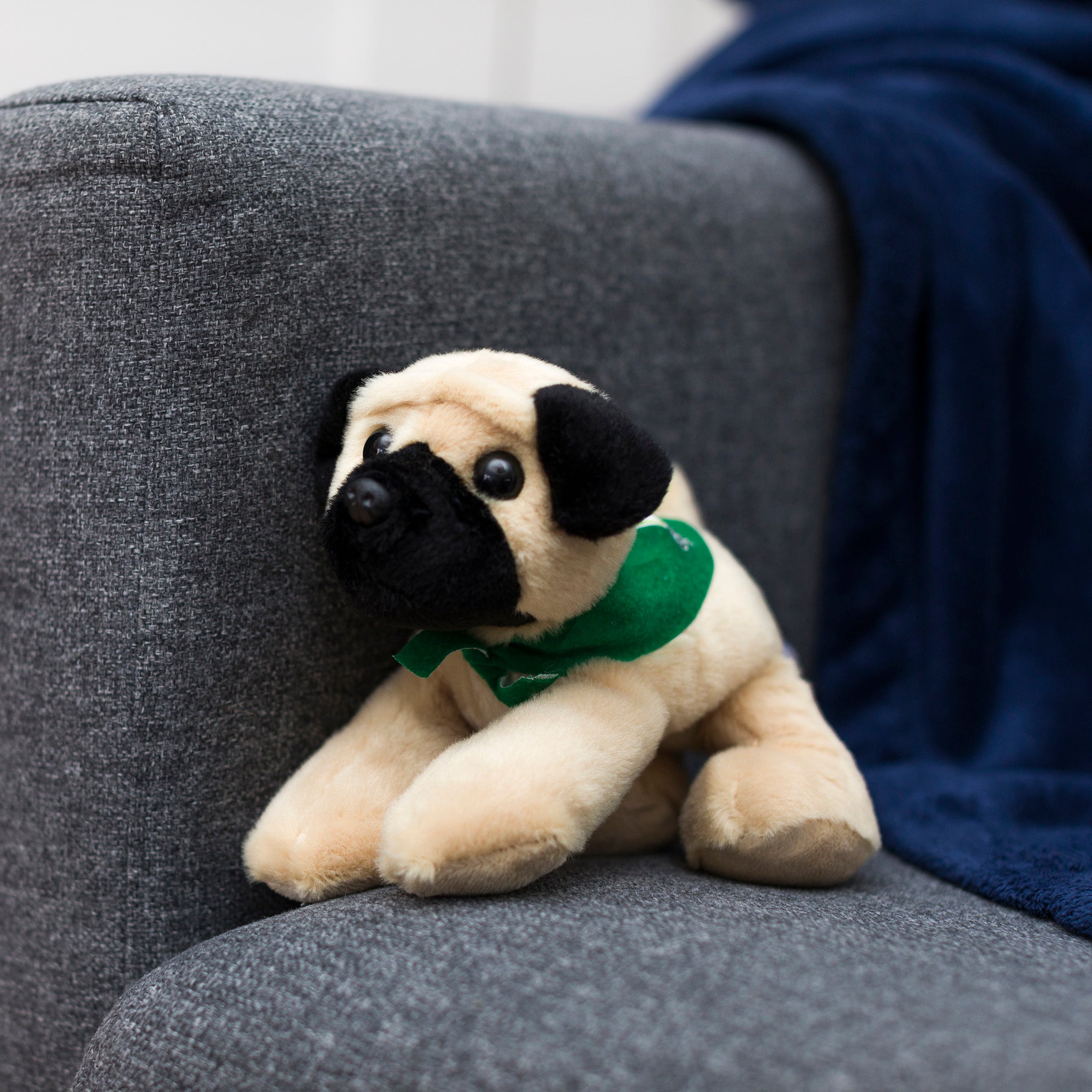 Mr-Pugsterr-Pug-kelly-green-chairwebsize.jpg