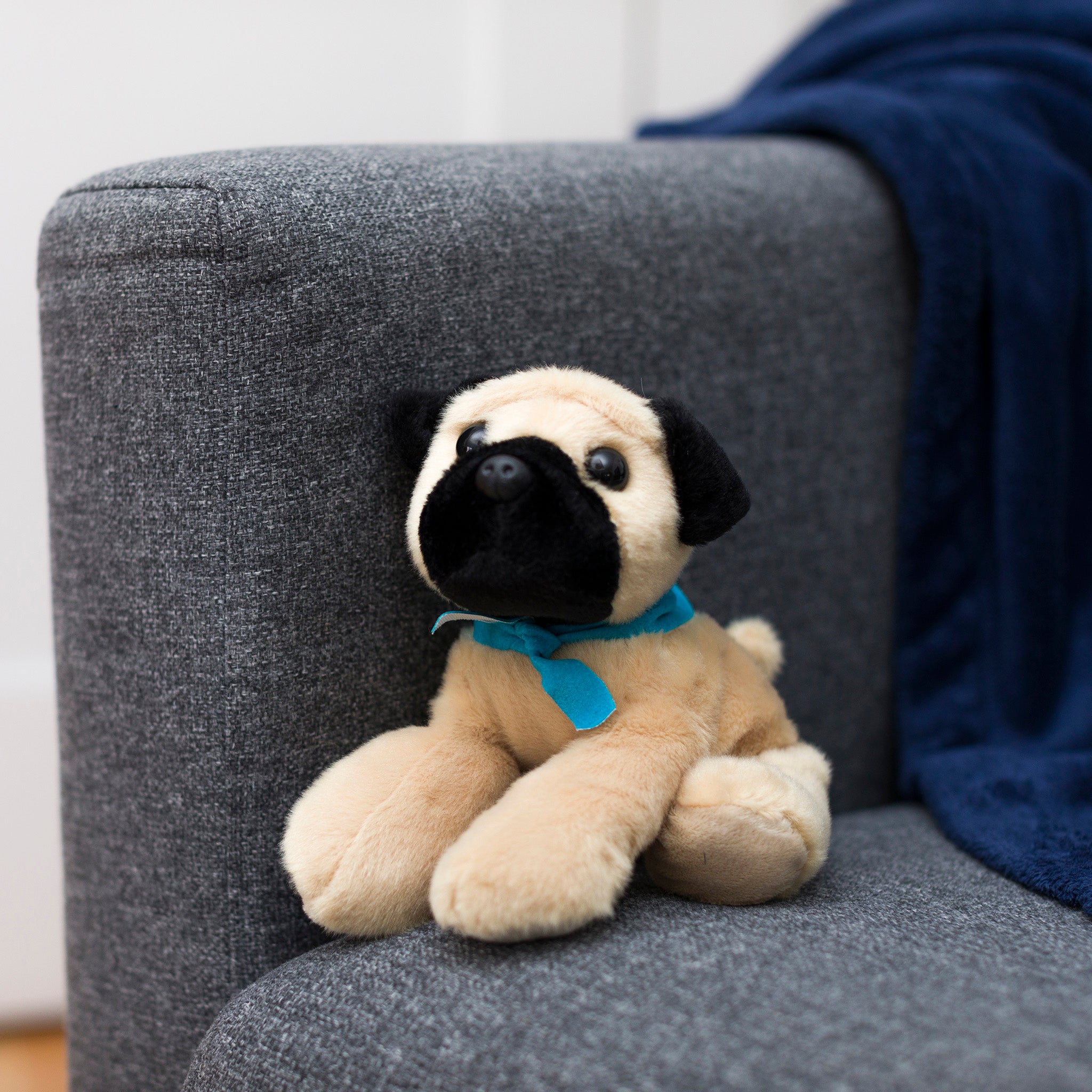 Pug