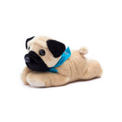 Pug