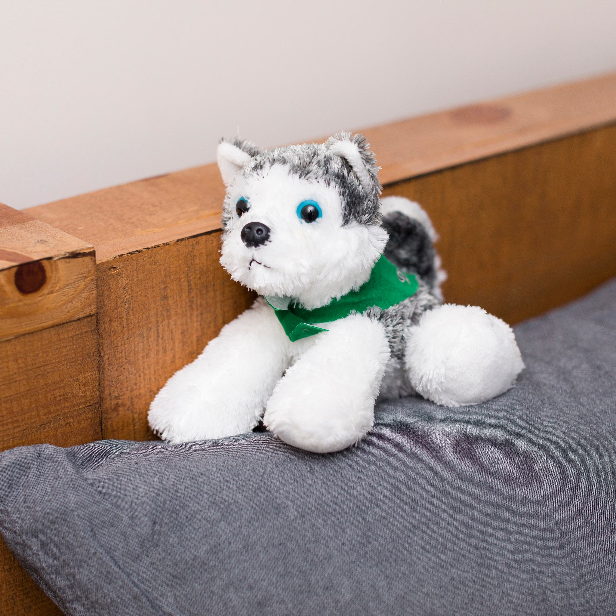 Husky Dog