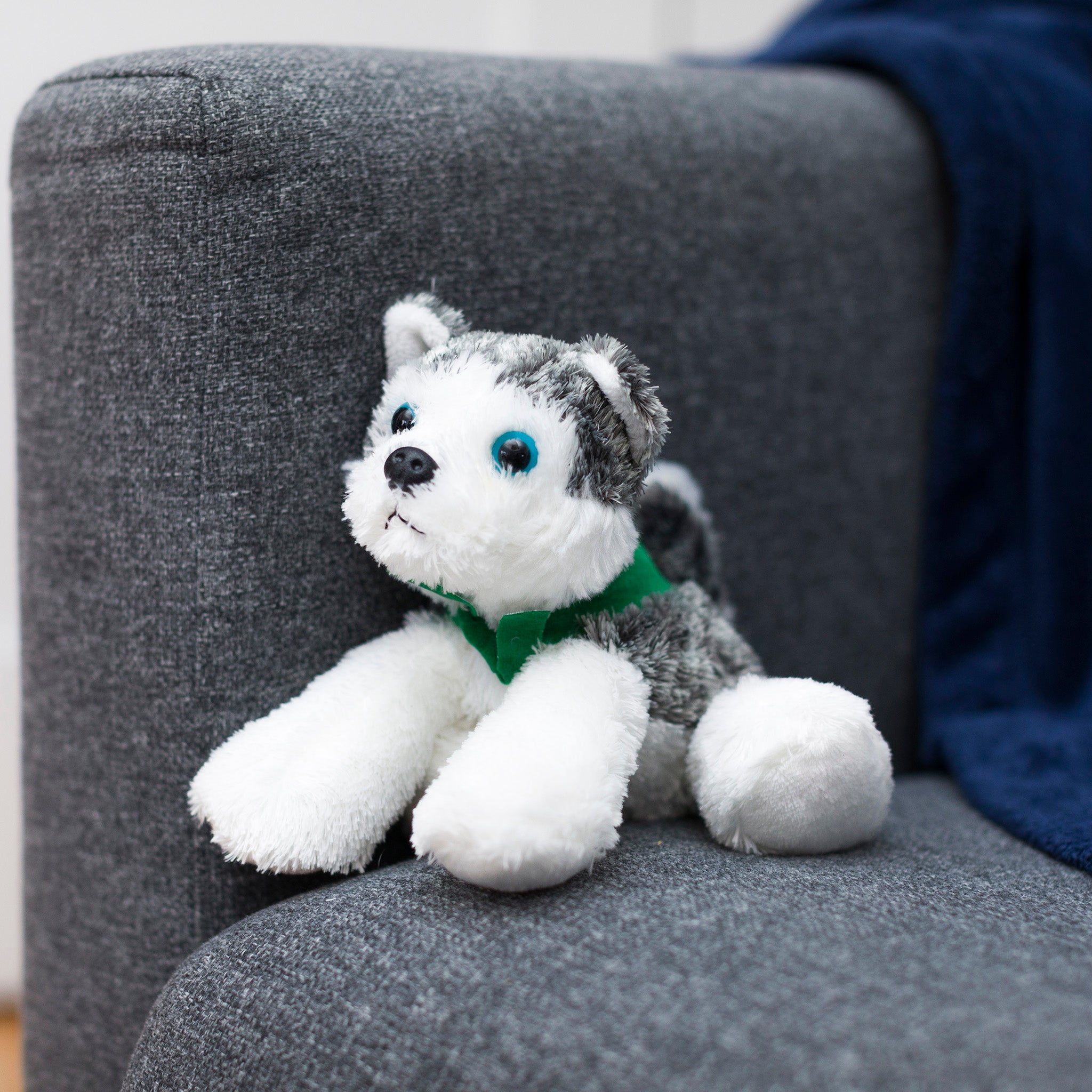 Mush-Husky-Dog-kelly-green-chairwebsize.jpg