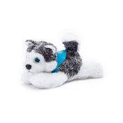 Husky Dog