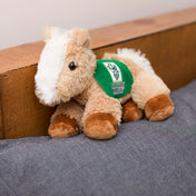 Paolo Horse