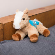 Paolo Horse