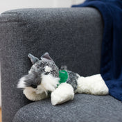Schnauzer