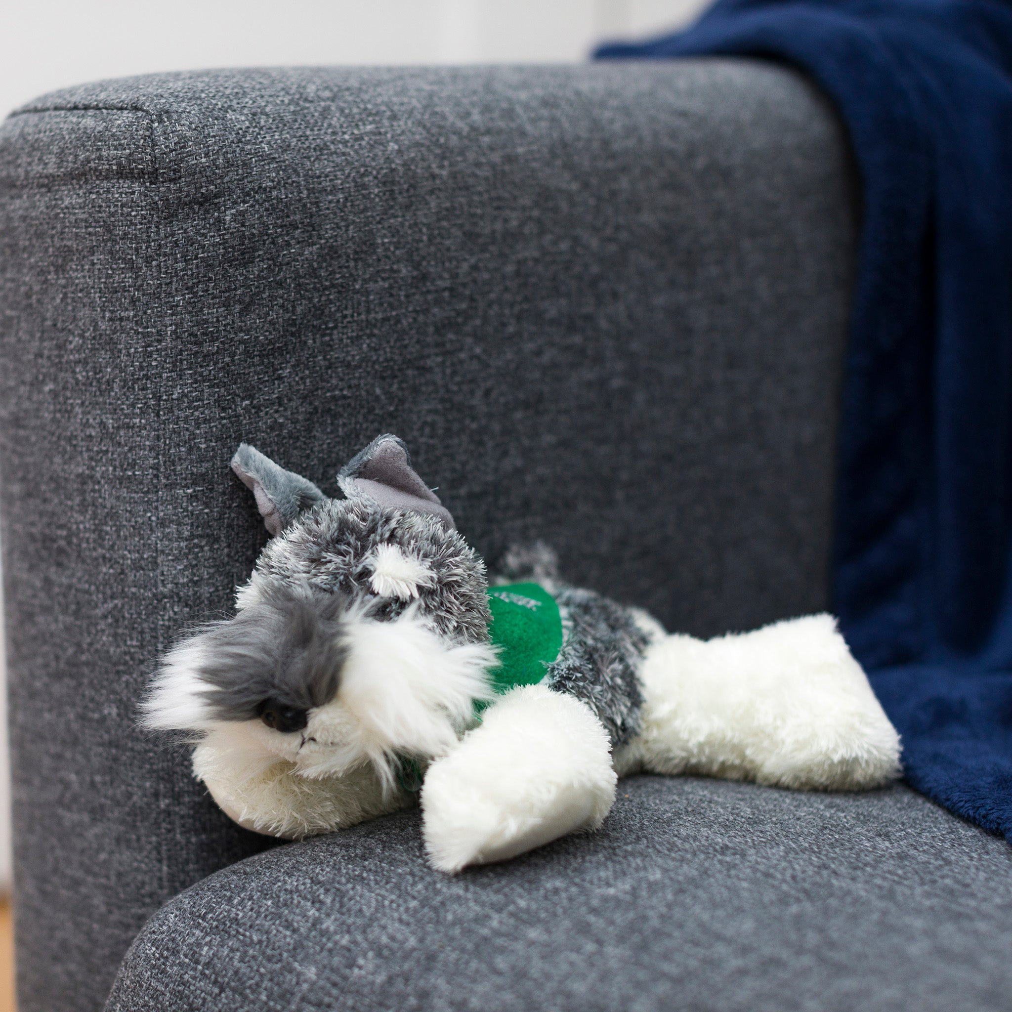 Schnauzer