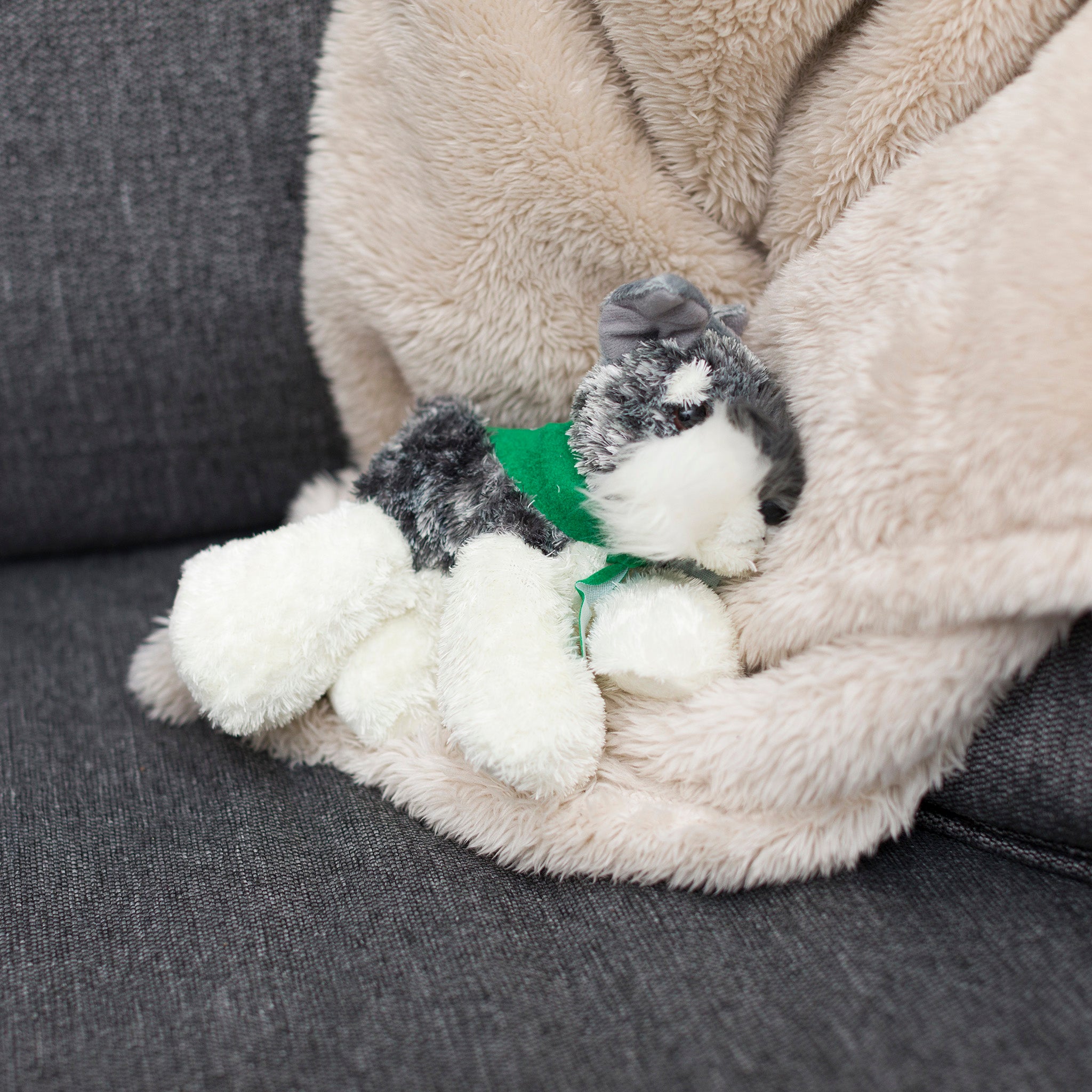 Stein-Schnauzer-kelly-green-couchwebsize.jpg