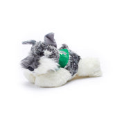 Schnauzer