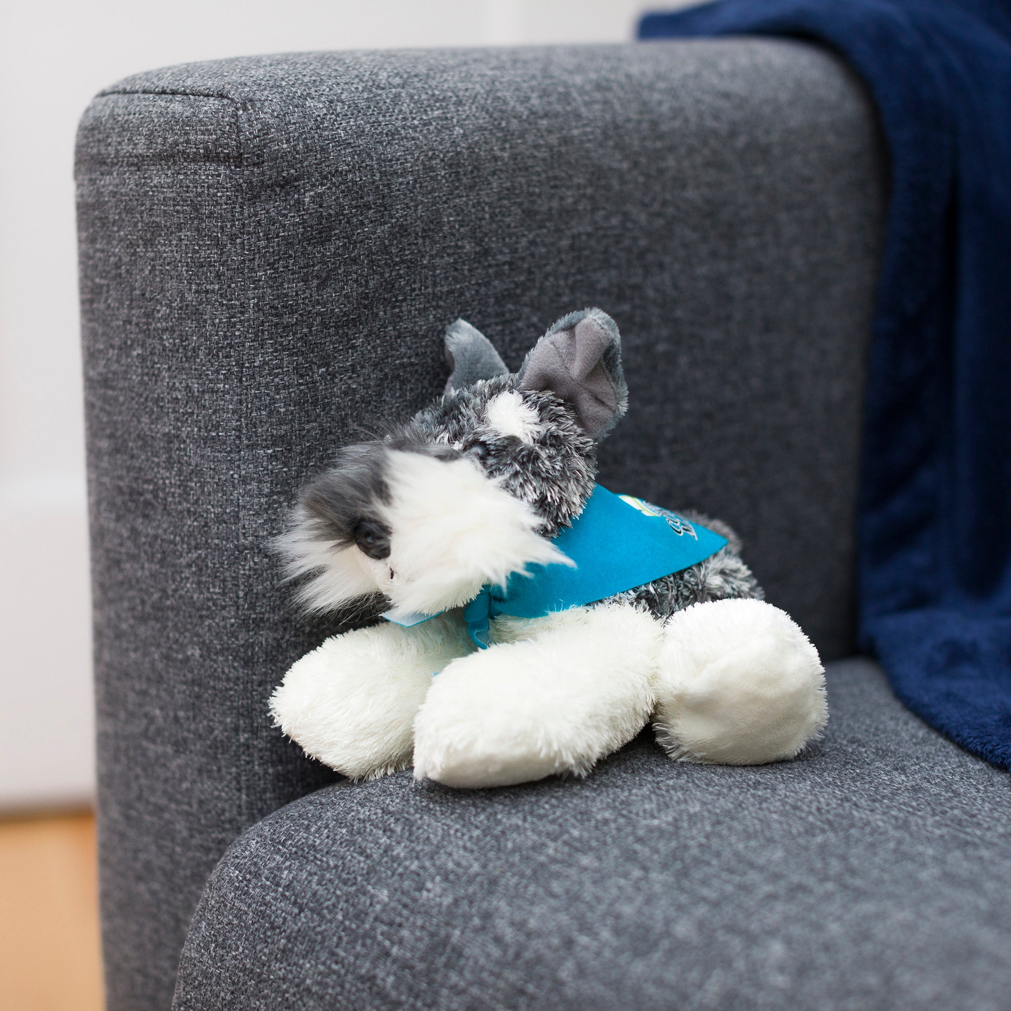 Schnauzer