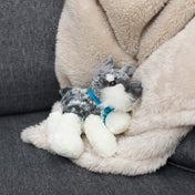 Schnauzer