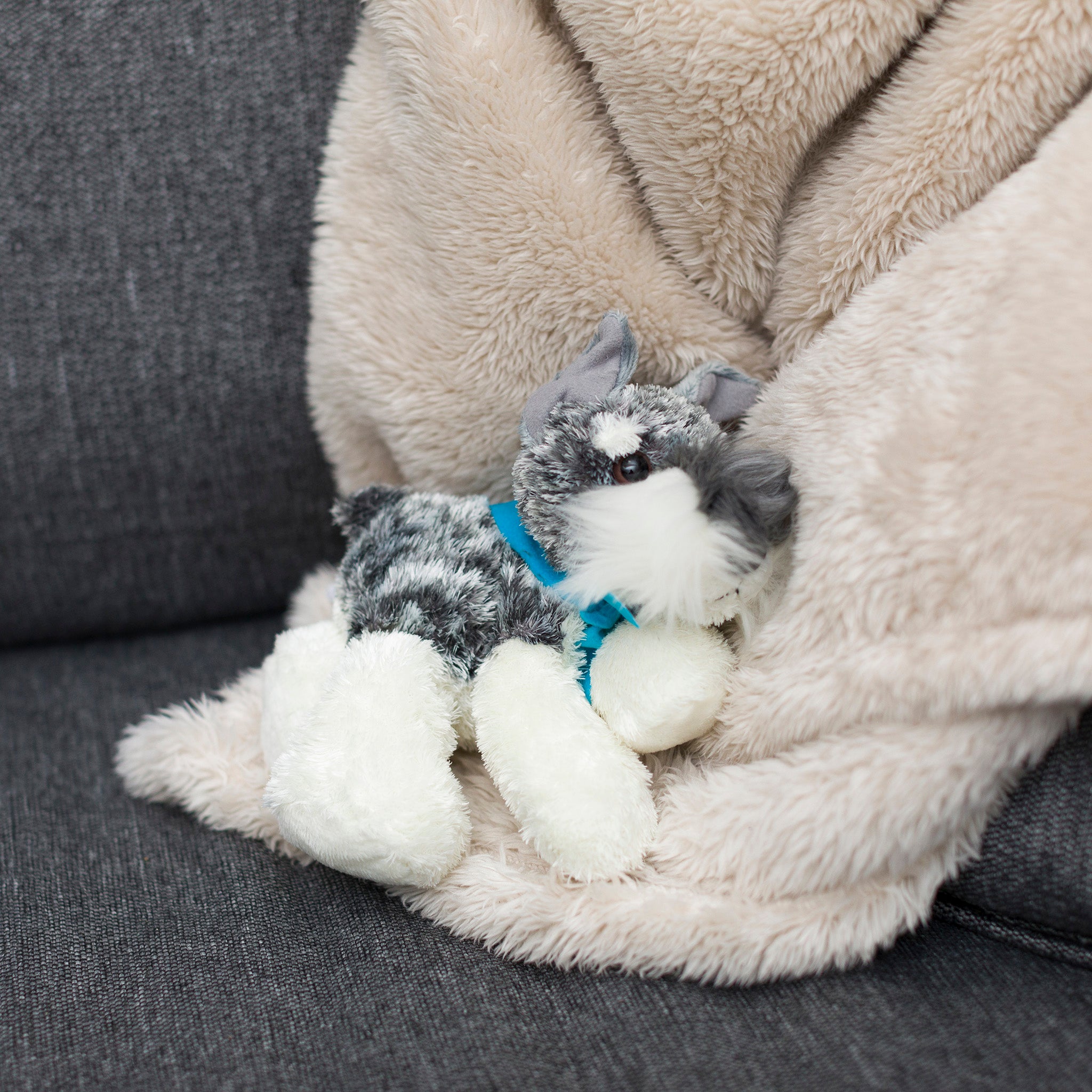 Schnauzer